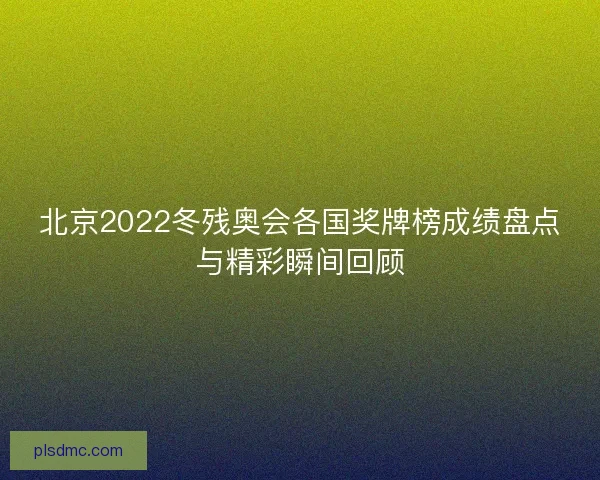 北京2022冬残奥会各国奖牌榜成绩盘点与精彩瞬间回顾