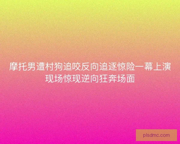 摩托男遭村狗追咬反向追逐惊险一幕上演现场惊现逆向狂奔场面