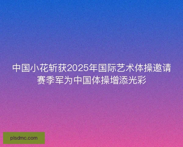 中国小花斩获2025年国际艺术体操邀请赛季军为中国体操增添光彩