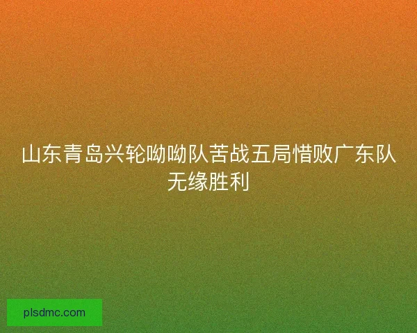 山东青岛兴轮呦呦队苦战五局惜败广东队无缘胜利
