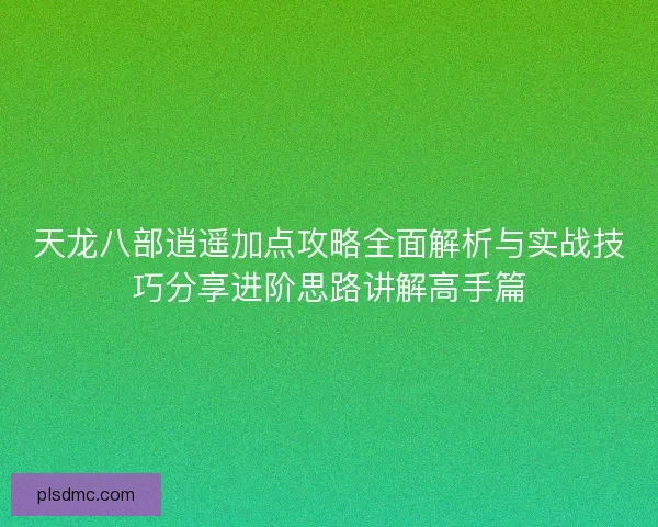 天龙八部逍遥加点攻略全面解析与实战技巧分享进阶思路讲解高手篇