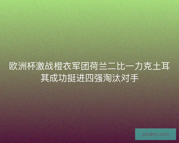欧洲杯激战橙衣军团荷兰二比一力克土耳其成功挺进四强淘汰对手