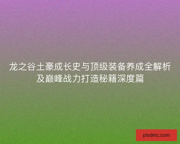 龙之谷土豪成长史与顶级装备养成全解析及巅峰战力打造秘籍深度篇