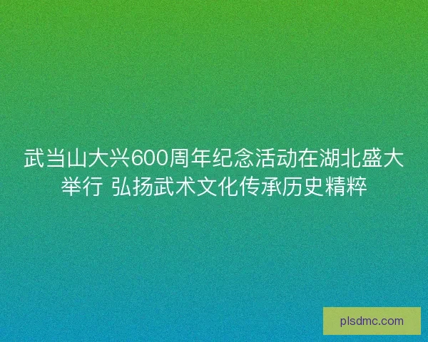 武当山大兴600周年纪念活动在湖北盛大举行 弘扬武术文化传承历史精粹