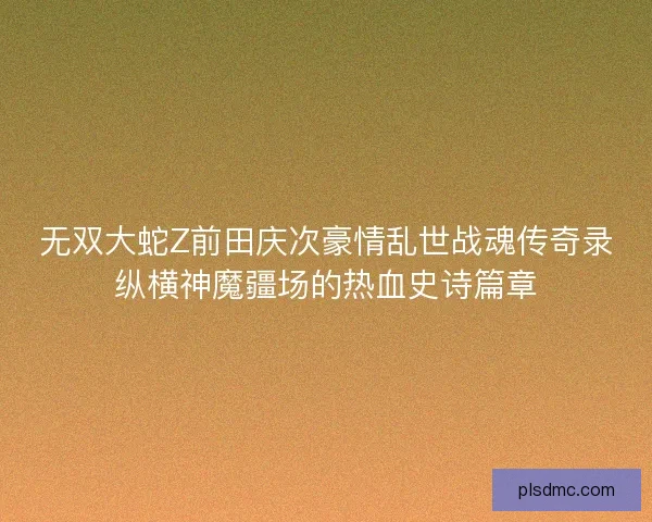无双大蛇Z前田庆次豪情乱世战魂传奇录纵横神魔疆场的热血史诗篇章